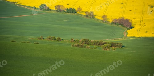 Preview: South Moravia Landscape And Farmland At Sunrise