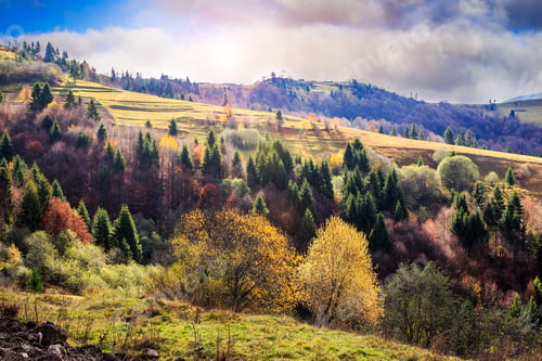 Preview: Autumn Mountain Landscape. Valley On The Hillside With Coniferous And Yellowed Trees In Early