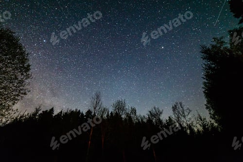 Preview: Colorful Milky Way Galaxy Seen In Night Sky Through Black Trees In Forest
