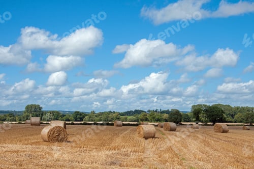 Preview: Bales Of Straw In A Summertime Field.