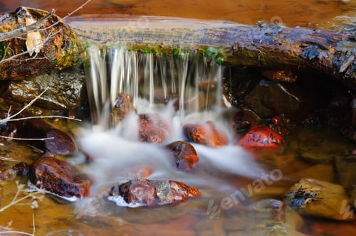 Preview: Wild River