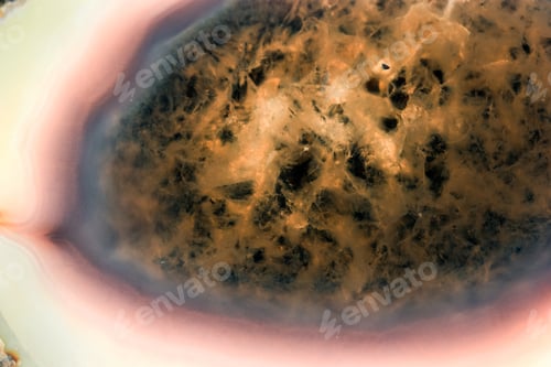 Preview: Agate And Quartz Slice - Beautiful Texture