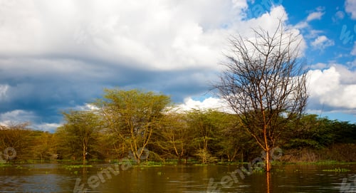 Preview: Lake Naivasha In Kenya, Africa