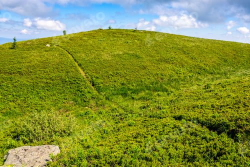 Preview: Winding Path Through Large Meadows On The Hillside Of Carpathian Mountain Ridge