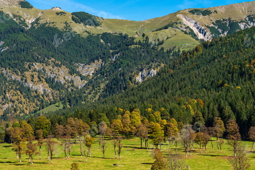 Preview: Colorful Maple Tree At Grosser Ahornboden With Impressive Karwendel Mountains In The Background