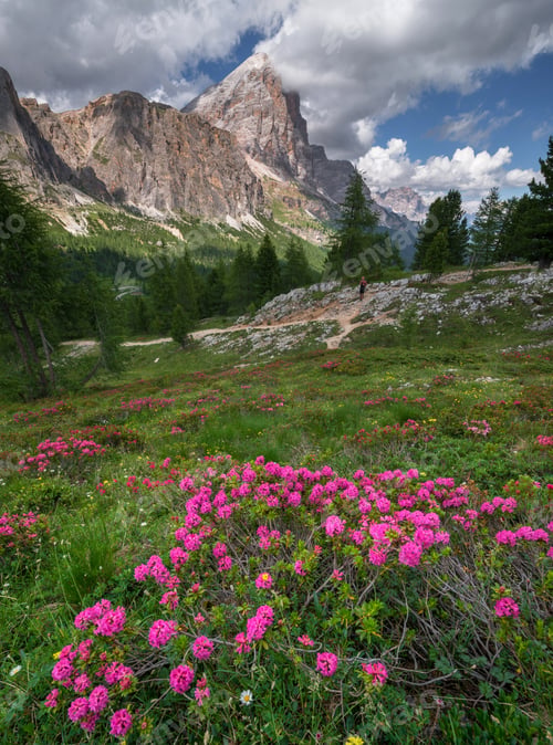Preview: Male Hiker Exploring The Dolomites Landscape