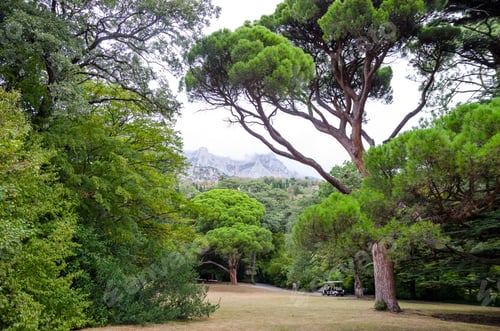 Visualização: Beautiful Views In The Park Of Vorontsov Palace, Yalta, Crimea