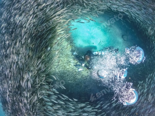 Preview: Swimming With Fish And Turtles Views Around The Small Caribbean Island Of Curacao