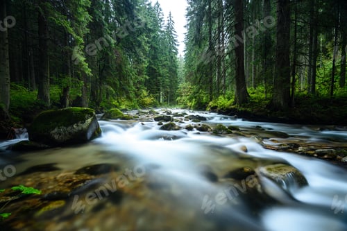 Preview: Mountain River In Summer With Stream And High Water In Forest
