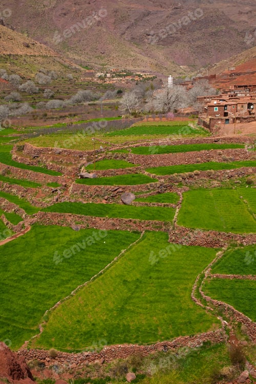Preview: Landscape In Aguelmous, Khénifra Province, Béni Mellal-Khénifra, High Atlas Or The Grand Atlas