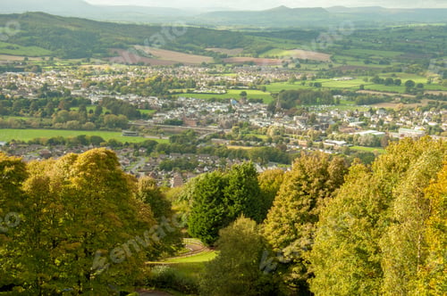 Preview: Autumn Trees In The British Countryside.
