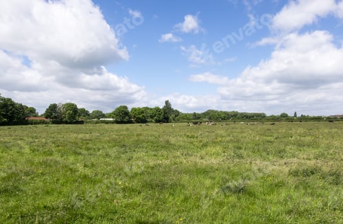 Preview: Empty Field