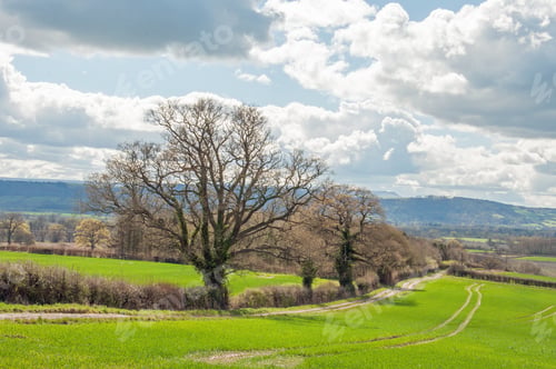 Preview: Springtime Landscape In The Uk.