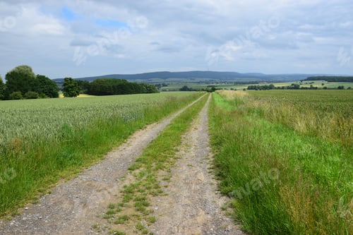 Preview: Idyllic Landscape With Dirt Road