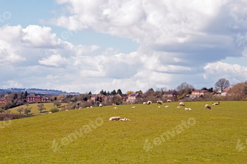 Preview: Springtime Landscape In Worcestershire, United Kingdom.