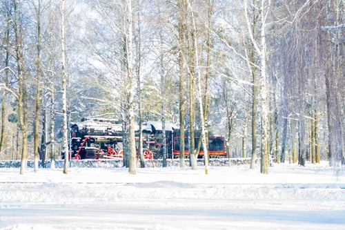 Preview: Train In The Winter Snowy Forest. Scenery.