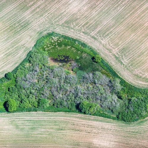 Preview: Aerial View Over The Rural Fields In Summertime