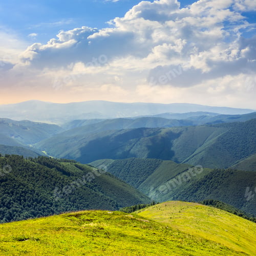 Preview: High Wild Grass At The Top Of The Mountain