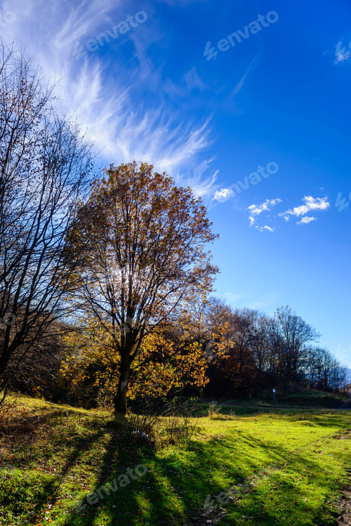 Preview: Beautiful Forest Landscape With Amazing Clouds, Armenia