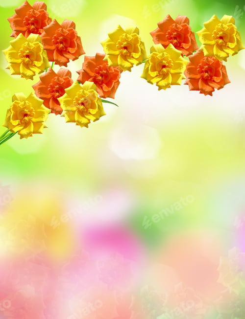 Preview: Summer Landscape. Flowers Roses