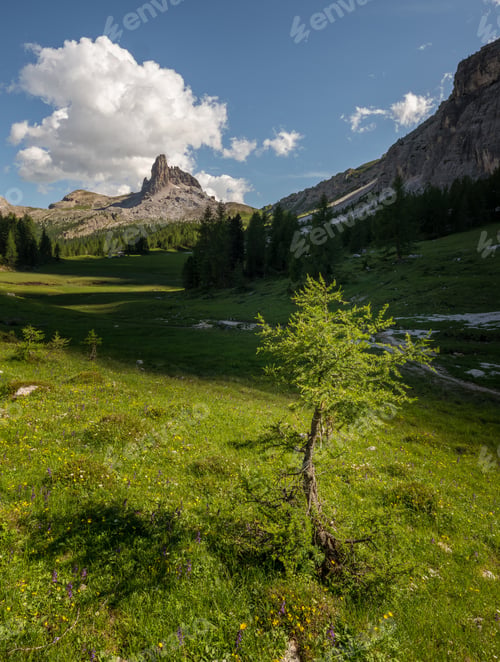 Preview: Lake Federa In The Italian Dolomites Mountain Landscape