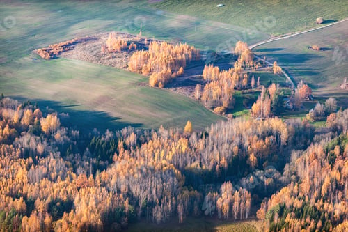 Preview: Aerial View Over The Fields And Forest In Autumn