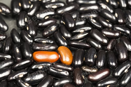 Preview: Black And Brown Dried Beans With Black Background