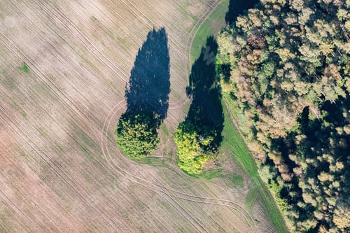 Preview: Aerial View Over The Rural Fields