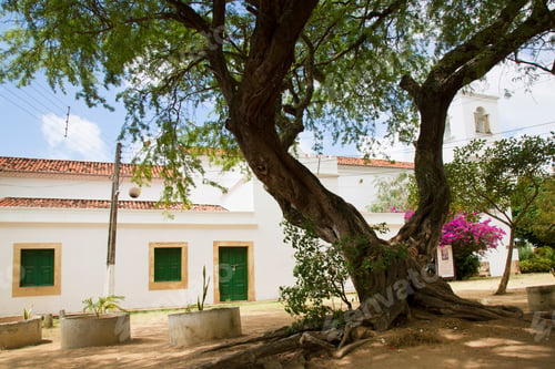 Preview: White Church In The Village Center With Garden