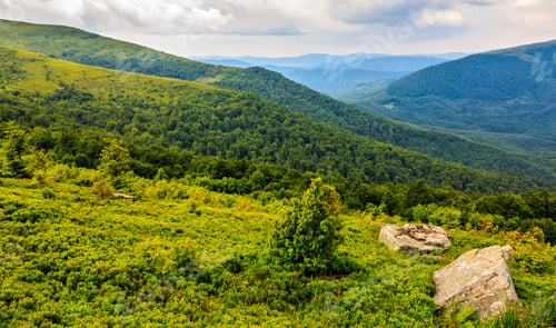 Preview: Landscape With Grassy Meadow With Giant Boulders On The Slope Of A Hill In Carpathian Mountain