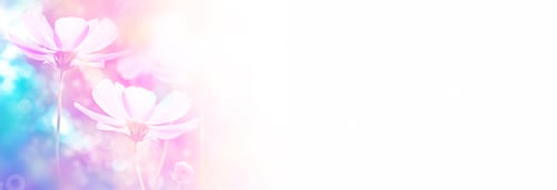 Preview: Colorful Cosmos Flowers On A Background Of Summer Landscape.