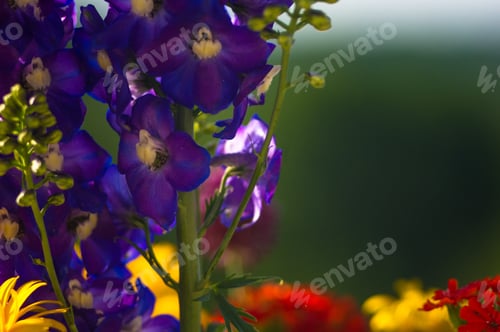 Preview: A Bouquet Of Bright Spring Flowers Of Various Types