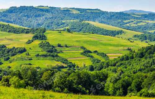 Preview: Forest In Mountain Rural Area. Green Agricultural Field On A Hillside. Beautiful Summer Scenery In
