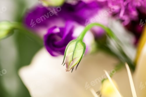 Preview: Lisianthus (Eustoma Grandiflorum) - Beautiful Flowers And Buds In A Floral Arrangement