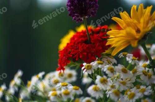 Preview: A Bouquet Of Bright Spring Flowers Of Various Types