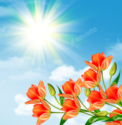 Preview: Bright And Colorful Spring Flowers Tulips. Landscape.