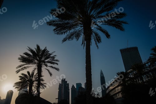 Preview: Palm Trees At Sunset Above Dubai Skyline. Vacation Concept.