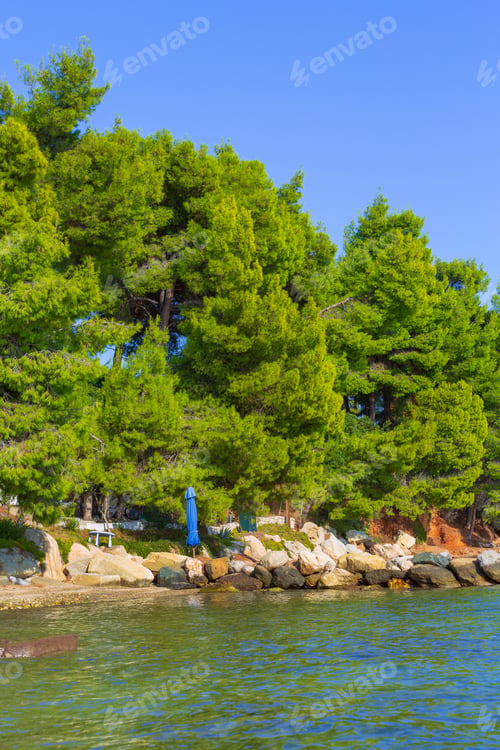 Preview: Summer Vacation Travel Background With Green Pine Forest Trees And Blue Sea In Nikiti, Halkidiki