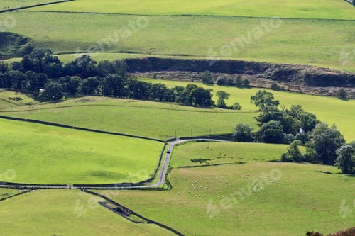 Preview: Grassy Fields