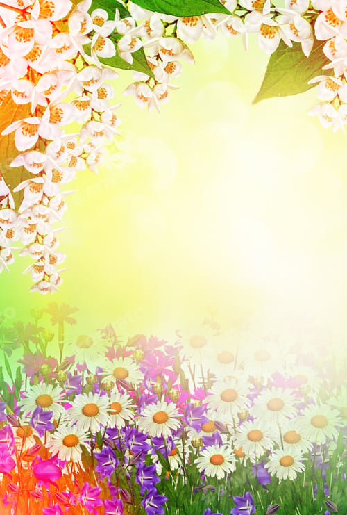 Preview: Field Daisy Flowers