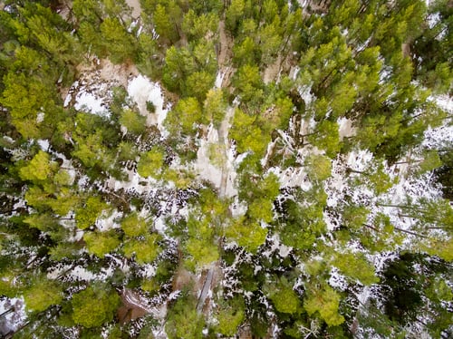 Preview: Aerial View Of Frozen Forest Lake In Winter. Drone Photography. Abstract Texture