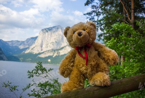 Preview: Teddy Bear In Austria