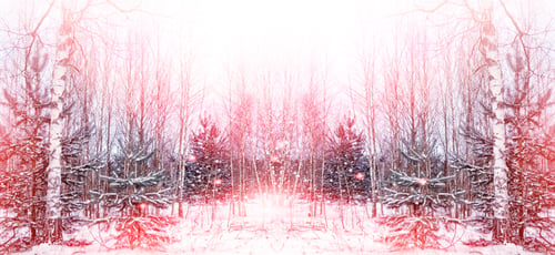 Preview: Frozen Winter Forest With Snow Covered Trees.