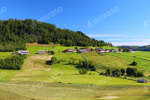 Preview: Farmlands And Pastures In Norway. Agricultural Area In The Region Of Sunnfjord Municipality