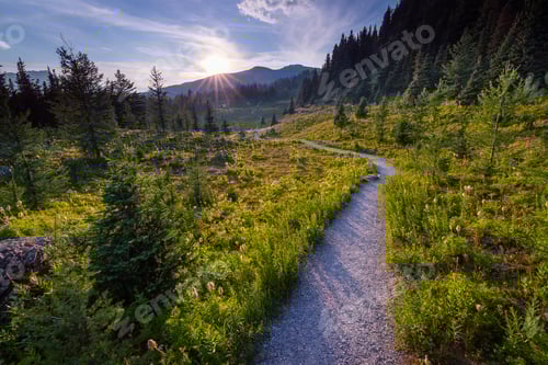 Preview: Flowers In Sunshine Meadows