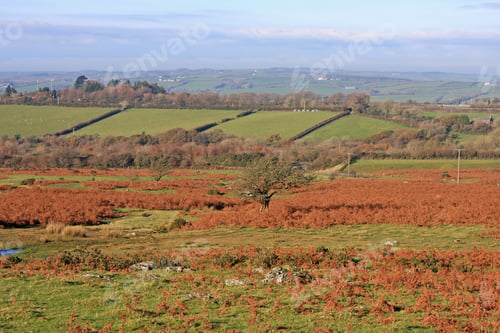 Preview: Dartmoor, Devon