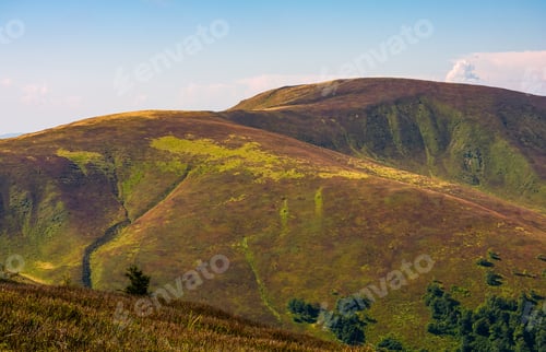 Preview: Grassy Meadow Of A Hillside On Top Of Mountain Ridge. Beautiful Summer Landscape With Blue Sky And