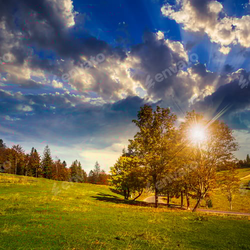 Preview: Asphalt Road Going Through Green Meadow With Trees Near Autumn Forest With Foliage On Hill At Sunset