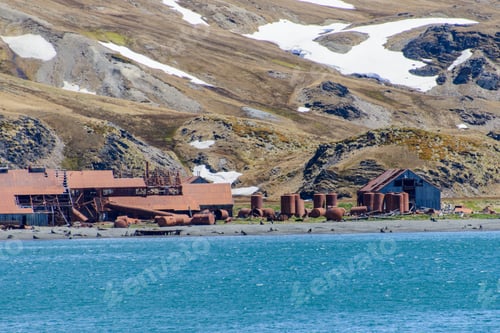Preview: Old Whaling Station On South Georgia