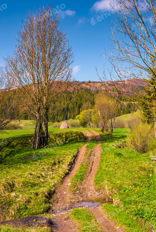 Preview: Countryside Road Through Rural Area In Mountains. Lovely Springtime Scenery